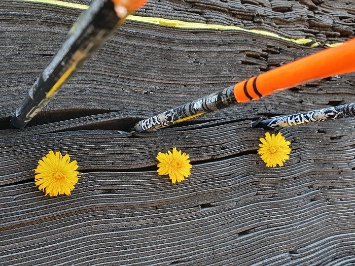 Flèches tirées sur des fleurs